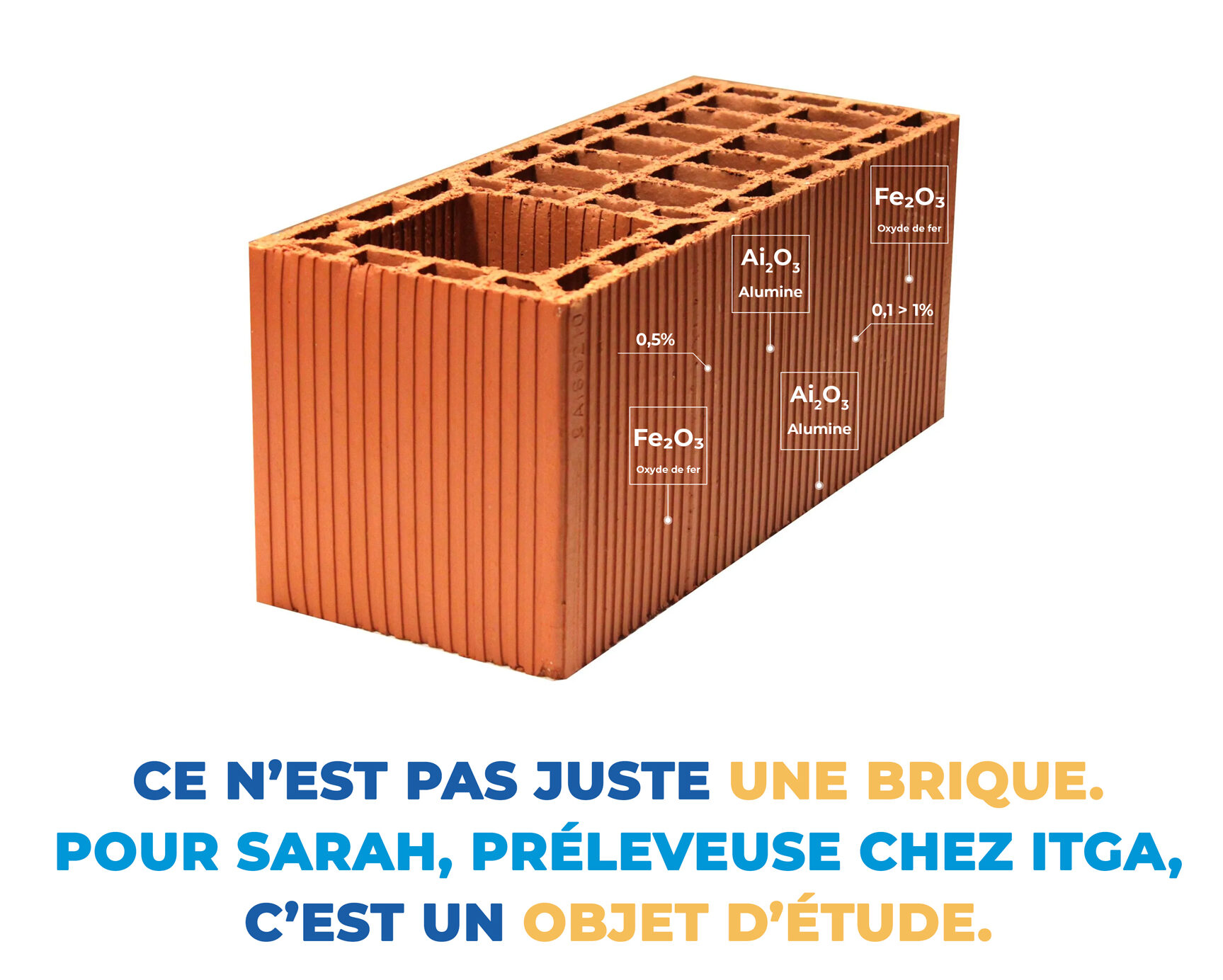 « Le monde à la loupe, l’avenir sous les yeux : comment le Groupe Carso a mis en lumière ses métiers avec Twinin l’agence »